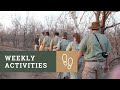 Weekly Roundup Bushwise