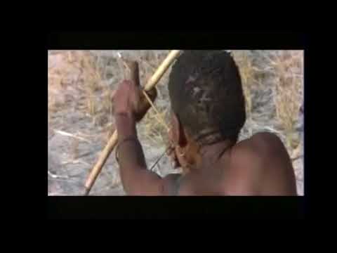 Go Away Bird Language