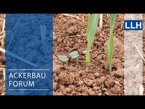 Ackerbauforum - Herbizidmaßnahmen im Winterraps (Herbst2020)