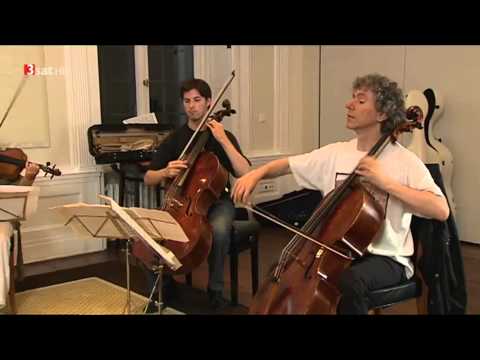 Daniel Mueller-Schott - ein German-Cellist stellt sich vor !