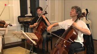 Daniel Mueller-Schott - ein German-Cellist stellt sich vor !
