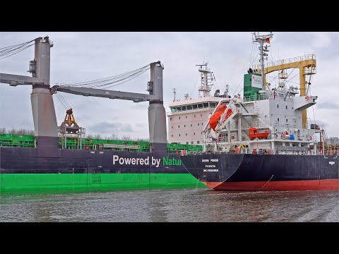 20 LARGE SHIPS ON KIEL CANAL - 4K SHIPSPOTTING GERMANY APRIL 2024