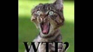 Rodney Carrington - Don&#39;t look now