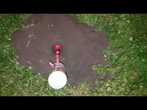 KRETOŁAP sposób na kreta  Polowanie na kreta Walka trwa 💪💪  cześć 1