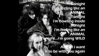 The Cure All I Want with lyrics