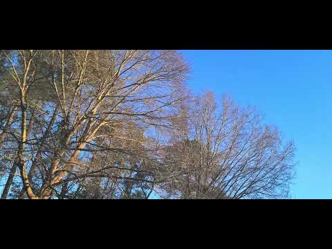 Cessna flying by low pass pretty loud