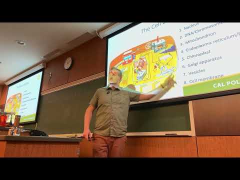 BIOL 105 Lecture 12 9/23/26