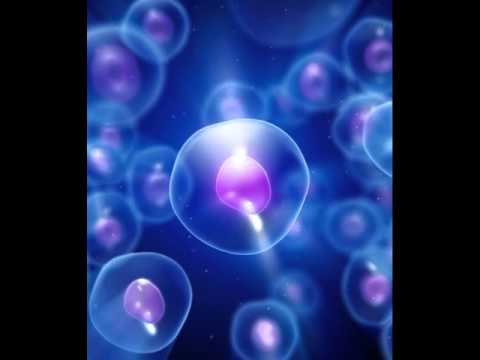 Randy Boyer feat Eric Tadla - Stemcell (tiesto Remix)