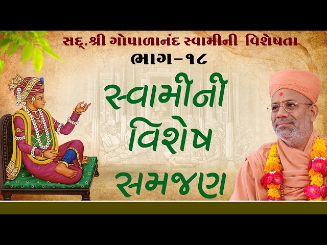 સ્વામીની વિશેષ સમજણ