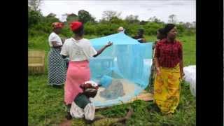 preview picture of video 'Malawi, Ntcheu, Bwanje/Sharpevalley: Bednet distribution'