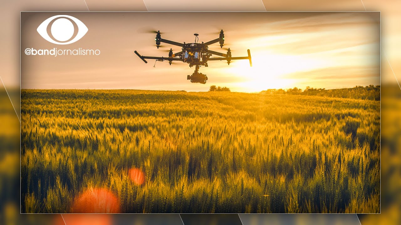 Agro digital: tecnologia eleva produtividade no campo