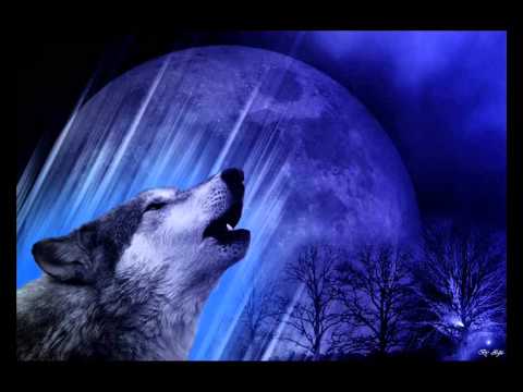 Sorel - zwrota na konkurs popkillera