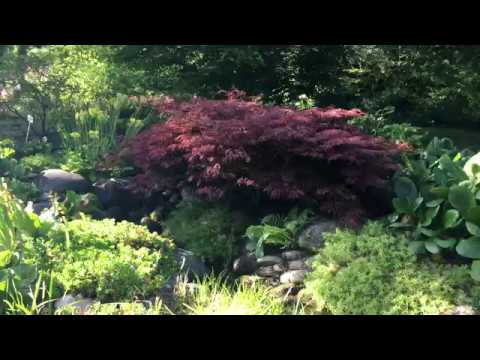 Flower Island - Mainau GERMANY