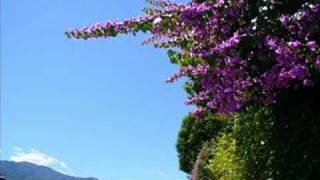 Per Elisa L.V. Beethoven