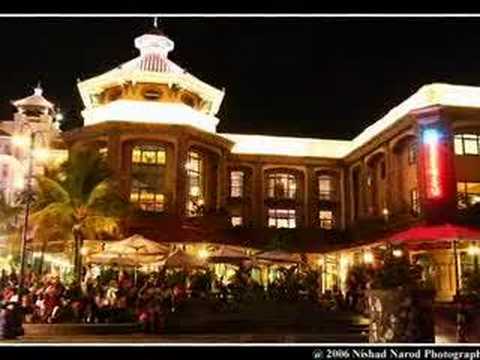 Ton Vie - Peros Vert