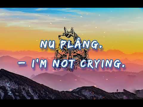 Carla’s Dreams & EMAA – N-Aud Romanian Lyrics English Translations