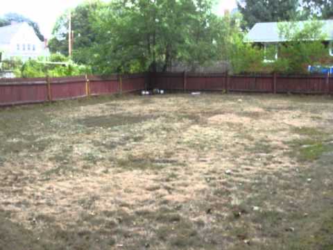 15 Worswick St Lawrence, MA