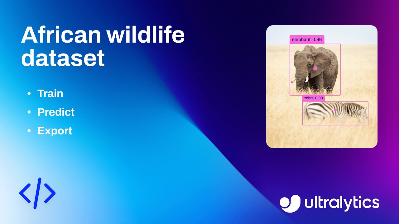 How to Train Ultralytics YOLO26 on the African Wildlife Dataset | Inference, Metrics & ONNX Export 🐘