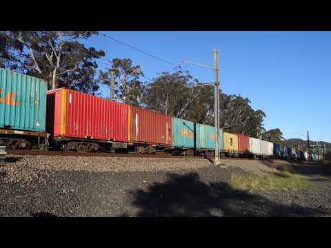 NR23 & LDP008 with PN 7BS3 - 11/9/21