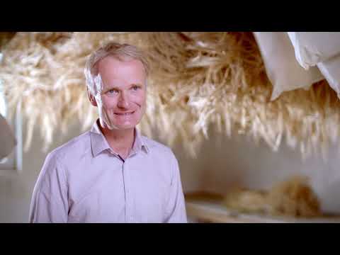 Braugerste - In vier Etappen zum Bier