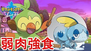 ライバルが弱すぎる!?博士と兄の前で恥をかく弟!!素人がポケモンマスターを目指す最速実況 PART3 【ポケモンソードシールド】