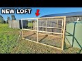 BUILDING A NEW PIGEON LOFT
