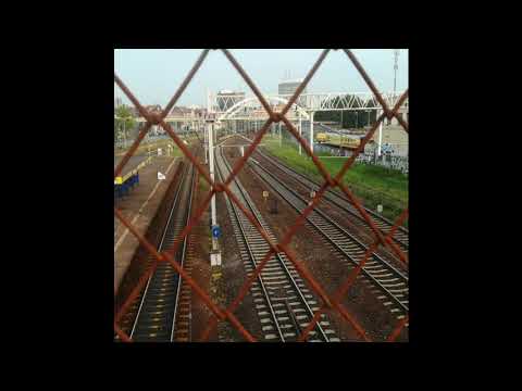 NIEDŹWIAD - NO FUTURE (PROD. HAUAS)