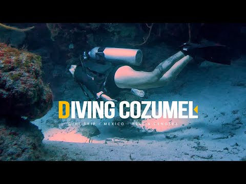 Diving in Cozumel - Palancar Reef and The Cenotes
