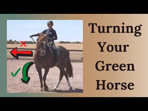 How To Steer A Horse That Is Green