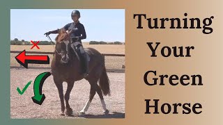 How To Steer A Horse That Is Green