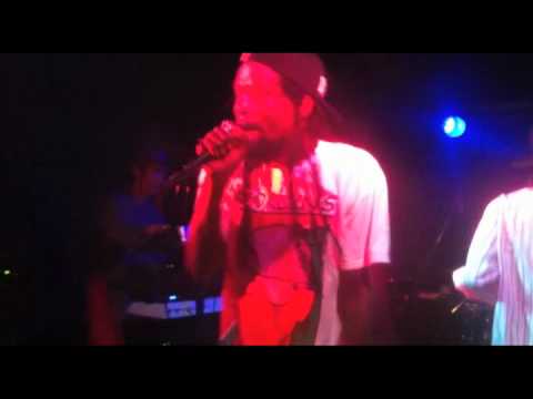 major mackerel (鯖将軍- saba shogun) tabaccoはだめ.dv