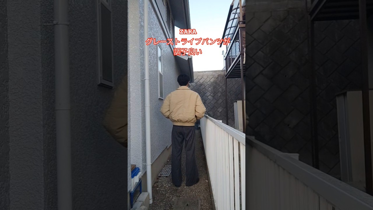 ZARAのグレーストライプパンツが調子良い　#ootd #zara #ザラ