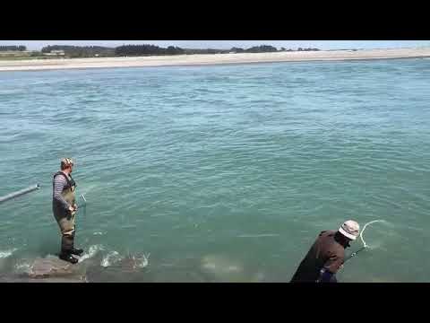 White baiting on the Hokitika River