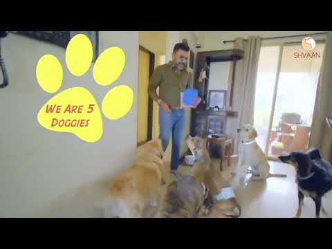 Mohit Pandey and his rescue dogs customer testimonial