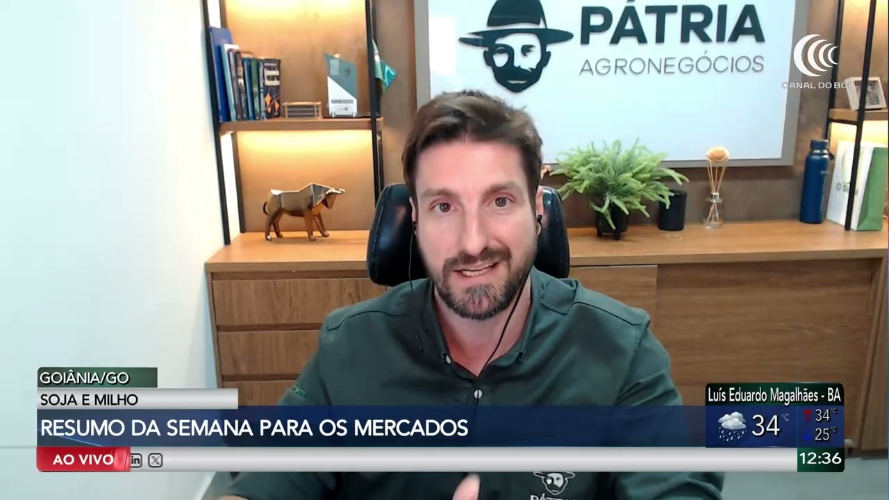 Soja e milho seguem atentos ao cenário de oferta e demanda