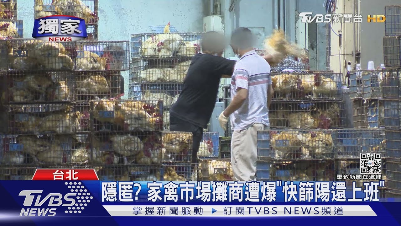 隱匿？　家禽市場攤商遭爆「快篩陽還上班」