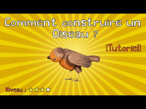 Comment construire un oiseau (Construction de marionnette)