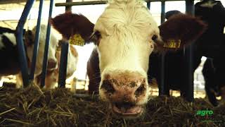 Agroplanet Livestock - Günaydin Et Gida Ltd  Sti