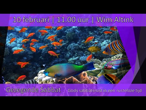Gezegende Sabbat - Gods sabbatsrust in een rusteloze tijd | Wim Altink | 10-02-2024