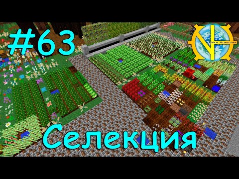 63 Селекция - GT New Horizons