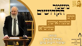 הרב שלמה אישון | משמר הקדושים | גאולת מצרים ואיסור ריבית כיום | כ' טבת תשפ"ו | ישיבת מרכז הרב (ישיבת מרכז הרב) - התמונה מוצגת ישירות מתוך אתר האינטרנט יוטיוב. זכויות היוצרים בתמונה שייכות ליוצרה. קישור קרדיט למקור התוכן נמצא בתוך דף הסרטון
