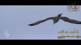 صورة قصة مثل- الحلقة (10) حالَ الجَرِيضُ دونَ القريض