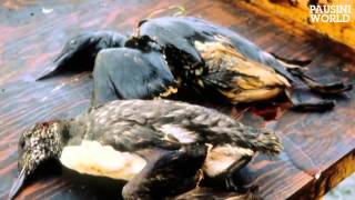 HERMANA TIERRA LAURA PAUSINI