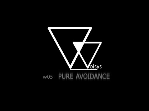 Woisys - WOISYS - PURE AVOIDANCE (w05 feat. Tomáš Hospodka)