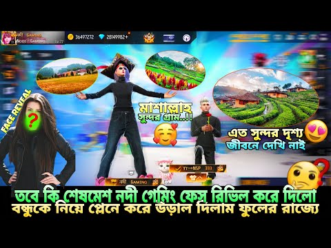 Nodi Gaming  and NSP 333