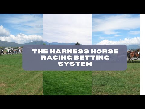 Harness Race Form System #bettingsystems