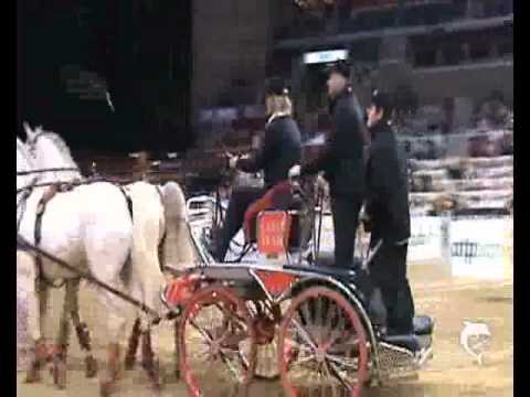 OTP Lovas Világkupa