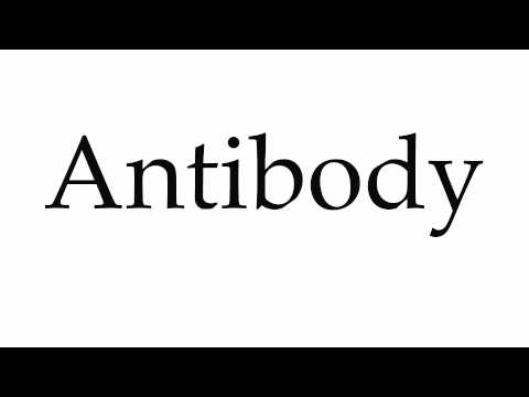 How to Pronounce Antibody