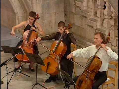 P. I. Tchaikovsky: Morning Prayer (cello ensemble)