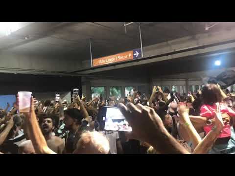 EMOCIONANTE! TORCIDA DO BOTAFOGO ENLOUQUECE COM O ACESSO! BOTAFOGO 2 x 1 OPERÁRIO-PR